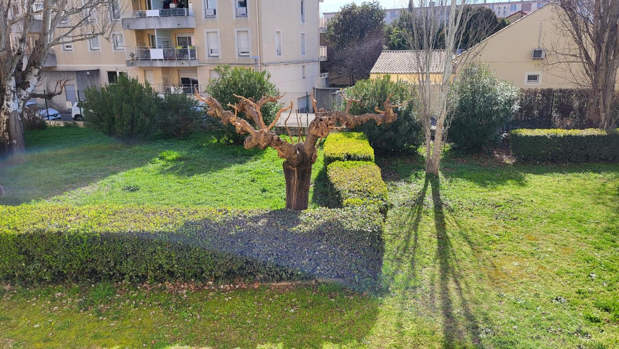 Les Tourterelles D'Avignon 2 Apartment Ngoại thất bức ảnh